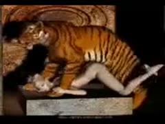 Filthy teenage beast paramour sucks and copulates a tiger worthy in this xxx animation porn video 